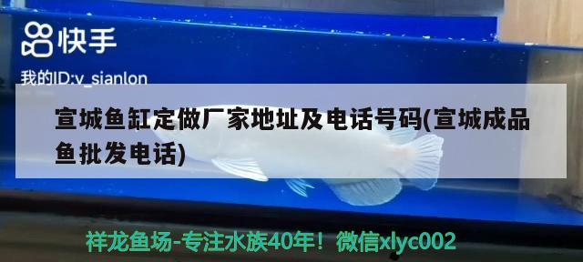 宣城魚缸定做廠家地址及電話號(hào)碼(宣城成品魚批發(fā)電話) 祥龍龍魚專用水族燈