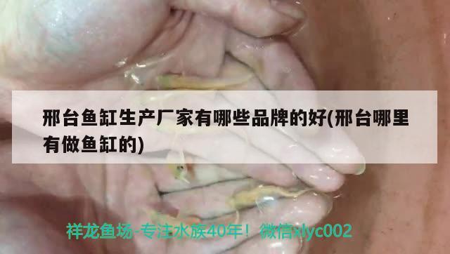 邢臺魚缸生產(chǎn)廠家有哪些品牌的好(邢臺哪里有做魚缸的) 二氧化碳設(shè)備