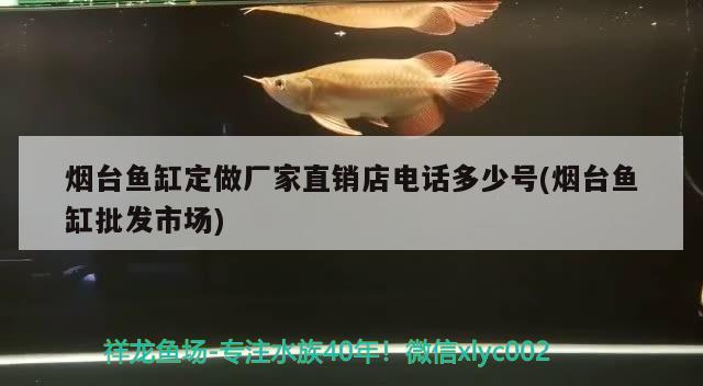 煙臺魚缸定做廠家直銷店電話多少號(煙臺魚缸批發(fā)市場) 祥龍魚場