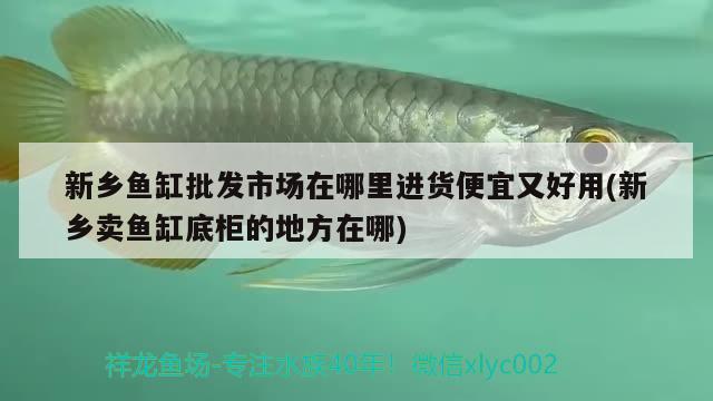 新鄉(xiāng)魚缸批發(fā)市場在哪里進貨便宜又好用(新鄉(xiāng)賣魚缸底柜的地方在哪) 印尼紅龍魚