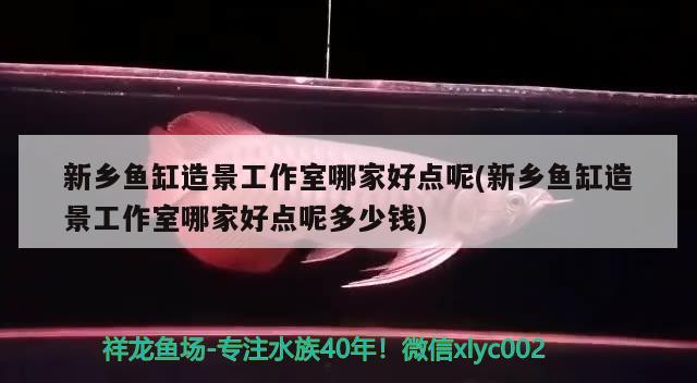 新鄉(xiāng)魚缸造景工作室哪家好點呢(新鄉(xiāng)魚缸造景工作室哪家好點呢多少錢)