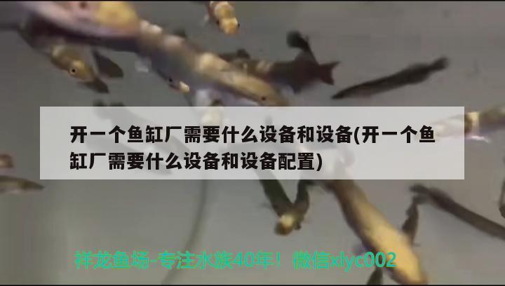 開一個魚缸廠需要什么設(shè)備和設(shè)備(開一個魚缸廠需要什么設(shè)備和設(shè)備配置)