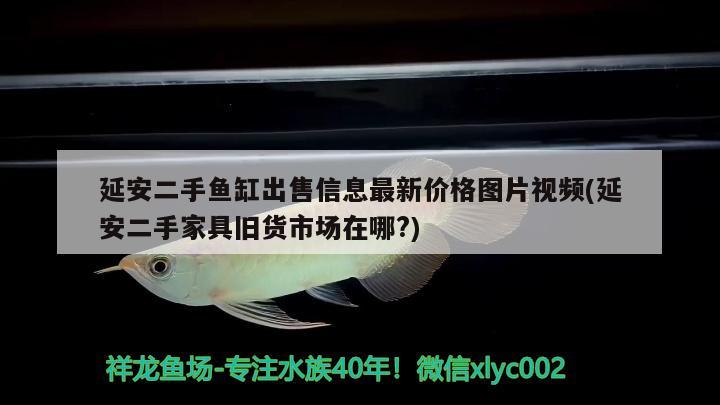 延安二手魚缸出售信息最新價格圖片視頻(延安二手家具舊貨市場在哪?) 野彩魚