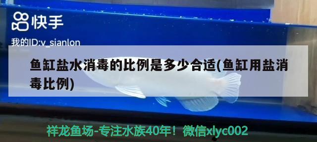 魚缸鹽水消毒的比例是多少合適(魚缸用鹽消毒比例) 狗仔（招財貓)魚苗