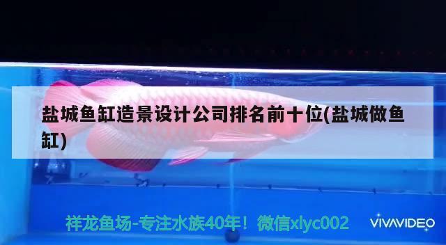 鹽城魚缸造景設(shè)計公司排名前十位(鹽城做魚缸) 黃鰭鯧魚