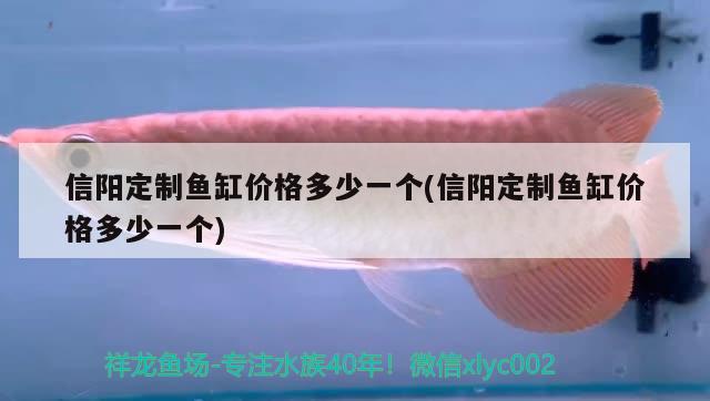 信陽定制魚缸價(jià)格多少一個(gè)(信陽定制魚缸價(jià)格多少一個(gè))