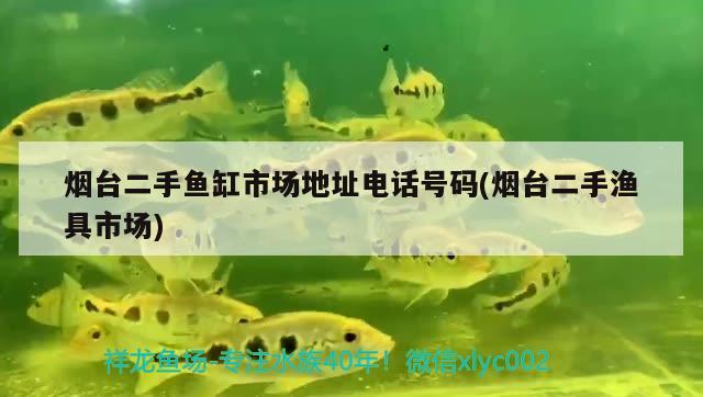 煙臺(tái)二手魚(yú)缸市場(chǎng)地址電話號(hào)碼(煙臺(tái)二手漁具市場(chǎng))