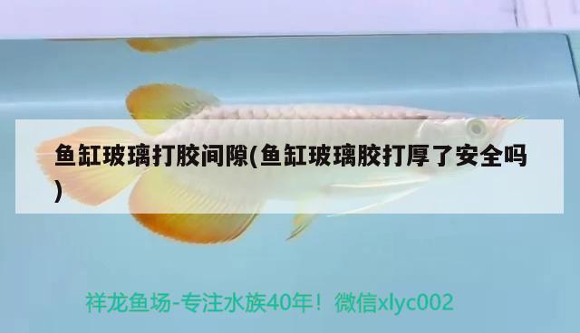 魚缸玻璃打膠間隙(魚缸玻璃膠打厚了安全嗎)