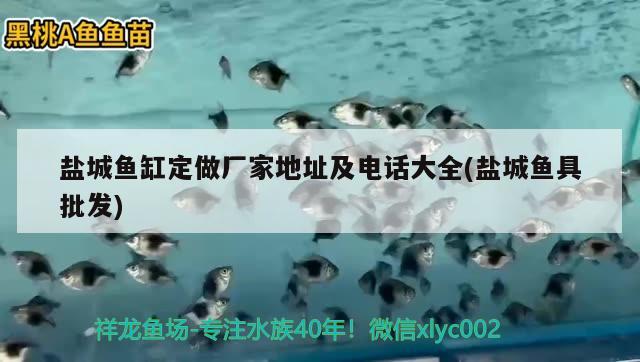 鹽城魚缸定做廠家地址及電話大全(鹽城魚具批發(fā)) 七紋巨鯉魚