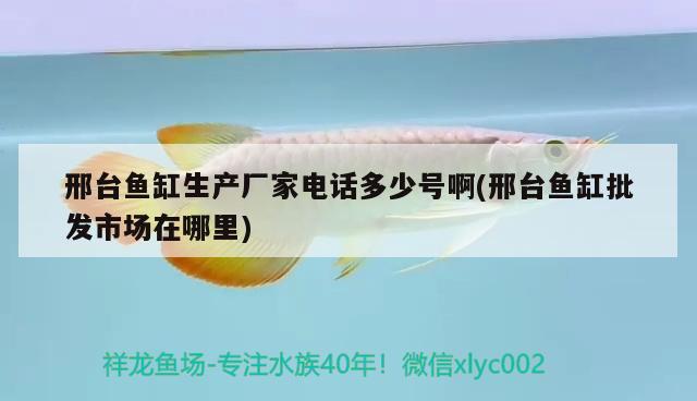 邢臺(tái)魚缸生產(chǎn)廠家電話多少號(hào)啊(邢臺(tái)魚缸批發(fā)市場(chǎng)在哪里)