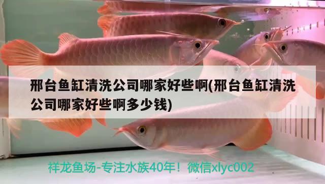 邢臺(tái)魚缸清洗公司哪家好些啊(邢臺(tái)魚缸清洗公司哪家好些啊多少錢)