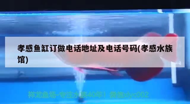 孝感魚缸訂做電話地址及電話號碼(孝感水族館)