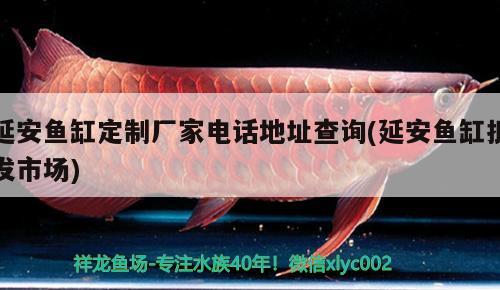 延安魚缸定制廠家電話地址查詢(延安魚缸批發(fā)市場(chǎng))