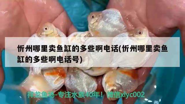 忻州哪里賣魚缸的多些啊電話(忻州哪里賣魚缸的多些啊電話號) 可麗愛魚缸