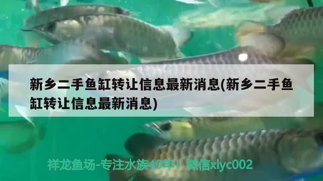 新鄉(xiāng)二手魚缸轉讓信息最新消息(新鄉(xiāng)二手魚缸轉讓信息最新消息) 帝王迷宮魚