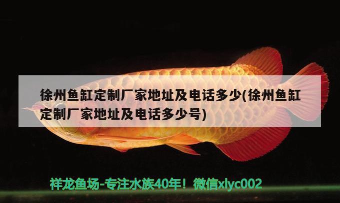 徐州魚缸定制廠家地址及電話多少(徐州魚缸定制廠家地址及電話多少號)