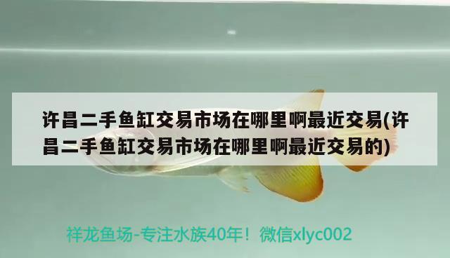 許昌二手魚缸交易市場在哪里啊最近交易(許昌二手魚缸交易市場在哪里啊最近交易的)