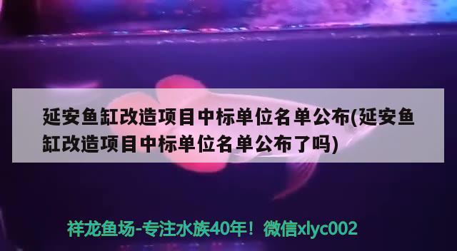 延安魚缸改造項目中標單位名單公布(延安魚缸改造項目中標單位名單公布了嗎)