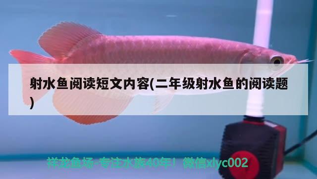 射水魚閱讀短文內(nèi)容(二年級射水魚的閱讀題)