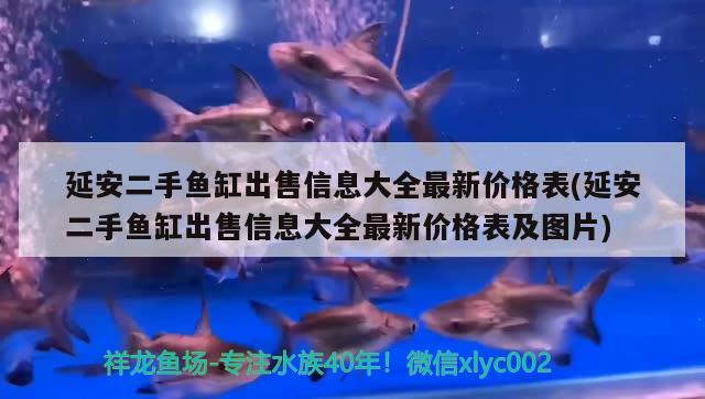 延安二手魚缸出售信息大全最新價格表(延安二手魚缸出售信息大全最新價格表及圖片)