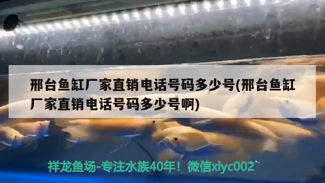 邢臺(tái)魚缸廠家直銷電話號(hào)碼多少號(hào)(邢臺(tái)魚缸廠家直銷電話號(hào)碼多少號(hào)啊)