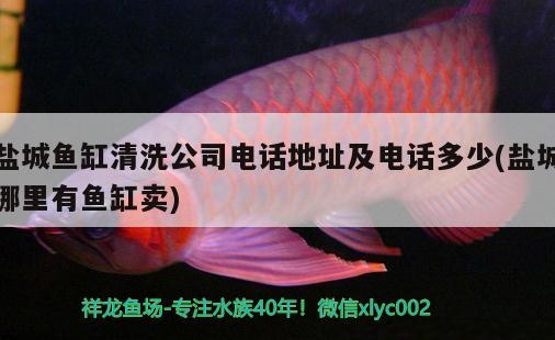 鹽城魚缸清洗公司電話地址及電話多少(鹽城哪里有魚缸賣) 福魟魟魚