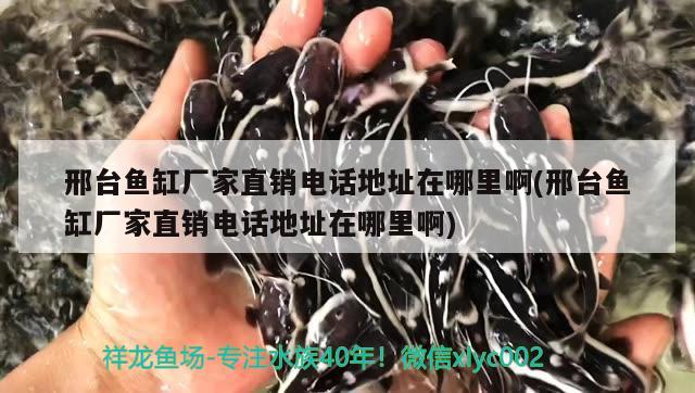 邢臺魚缸廠家直銷電話地址在哪里啊(邢臺魚缸廠家直銷電話地址在哪里啊)