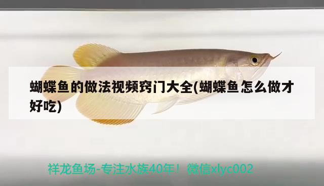 蝴蝶魚的做法視頻竅門大全(蝴蝶魚怎么做才好吃)