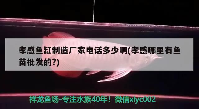 孝感魚(yú)缸制造廠家電話多少啊(孝感哪里有魚(yú)苗批發(fā)的?) 帝王血鉆