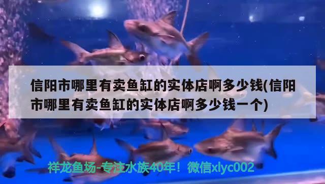 信陽市哪里有賣魚缸的實體店啊多少錢(信陽市哪里有賣魚缸的實體店啊多少錢一個)