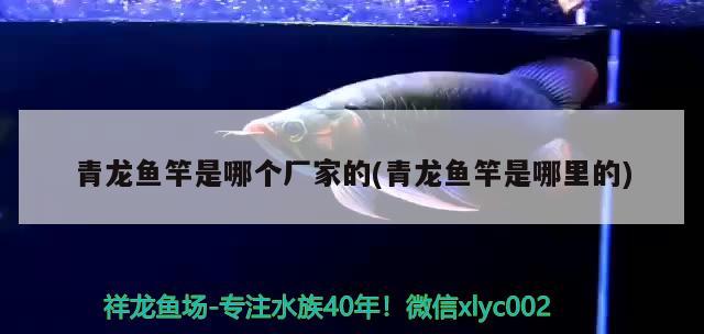 青龍魚竿是哪個廠家的(青龍魚竿是哪里的)