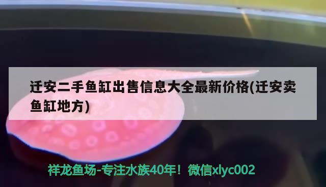 遷安二手魚缸出售信息大全最新價(jià)格(遷安賣魚缸地方) 水溫計(jì)