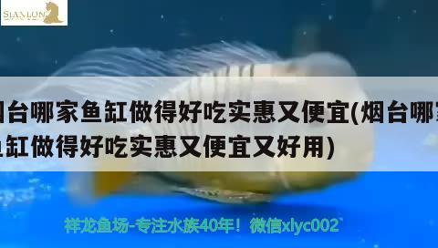 地圖魚的壽命是多大(地圖魚壽命是多少年) 觀賞魚