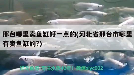 邢臺哪里賣魚缸好一點的(河北省邢臺市哪里有賣魚缸的?) 委內(nèi)瑞拉奧里諾三間魚苗