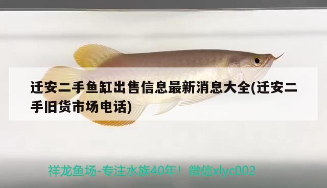 遷安二手魚缸出售信息最新消息大全(遷安二手舊貨市場電話) 水族維護服務(wù)（上門）