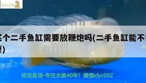 買個(gè)二手魚缸需要放鞭炮嗎(二手魚缸能不能要) 黑桃A魚