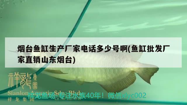 煙臺(tái)魚缸生產(chǎn)廠家電話多少號(hào)啊(魚缸批發(fā)廠家直銷山東煙臺(tái))