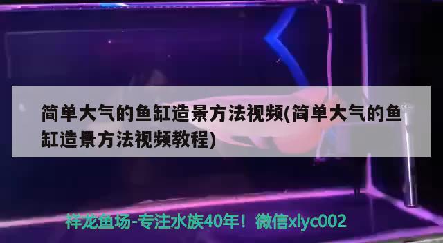 簡單大氣的魚缸造景方法視頻(簡單大氣的魚缸造景方法視頻教程)