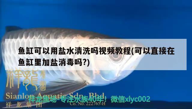 魚缸可以用鹽水清洗嗎視頻教程(可以直接在魚缸里加鹽消毒嗎?)