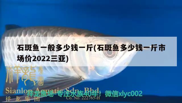 石斑魚一般多少錢一斤(石斑魚多少錢一斤市場價(jià)2022三亞)