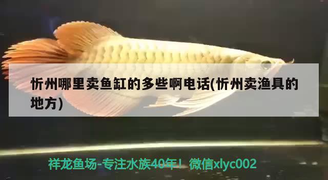 忻州哪里賣魚缸的多些啊電話(忻州賣漁具的地方)