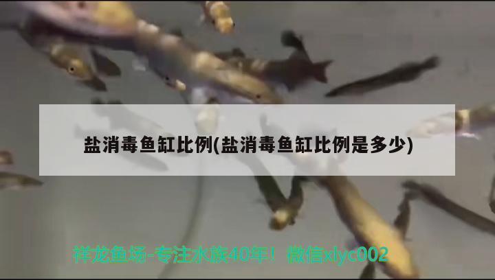 鹽消毒魚缸比例(鹽消毒魚缸比例是多少) 銀龍魚苗