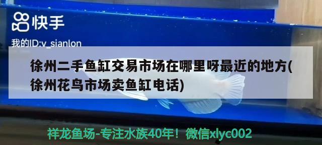 徐州二手魚缸交易市場在哪里呀最近的地方(徐州花鳥市場賣魚缸電話) 藍(lán)帆三間魚