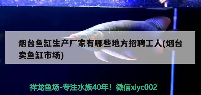 煙臺魚缸生產(chǎn)廠家有哪些地方招聘工人(煙臺賣魚缸市場)