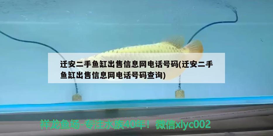 遷安二手魚缸出售信息網(wǎng)電話號碼(遷安二手魚缸出售信息網(wǎng)電話號碼查詢)