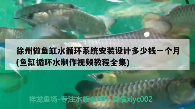 徐州做魚缸水循環(huán)系統(tǒng)安裝設計多少錢一個月(魚缸循環(huán)水制作視頻教程全集)