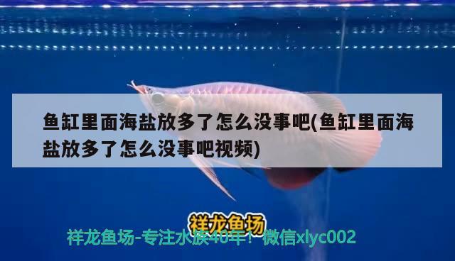 魚(yú)缸里面海鹽放多了怎么沒(méi)事吧(魚(yú)缸里面海鹽放多了怎么沒(méi)事吧視頻)