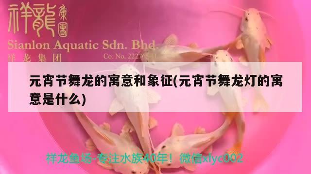 元宵節(jié)舞龍的寓意和象征(元宵節(jié)舞龍燈的寓意是什么)