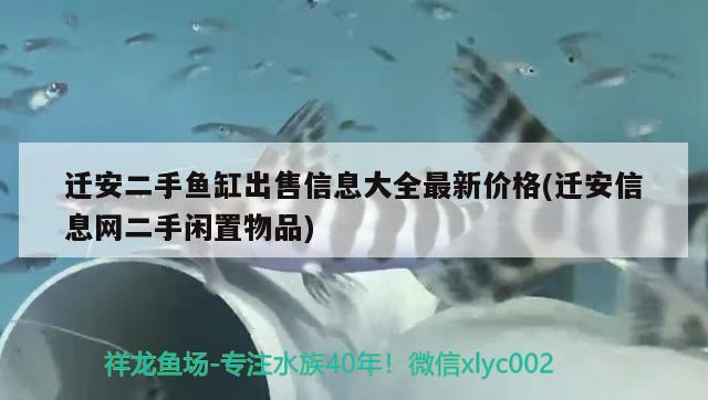 遷安二手魚缸出售信息大全最新價格(遷安信息網(wǎng)二手閑置物品) 賽級紅龍魚