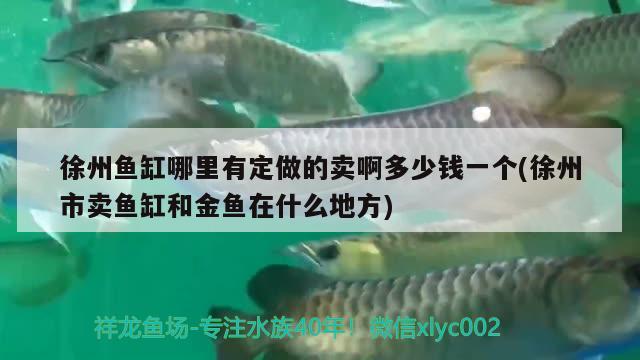 徐州魚缸哪里有定做的賣啊多少錢一個(gè)(徐州市賣魚缸和金魚在什么地方)